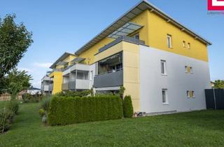 Wohnung mieten in Rüstorf 161/8, 4690 Rüstorf, Tolle 4-Zimmer Wohnung mit Dachterrasse und Tg-Abstellplatz in Rüstorf