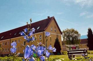 Wohnung mieten in Brandstetterweg, 8720 Knittelfeld, 2 Zimmer | Brandstetterweg 3