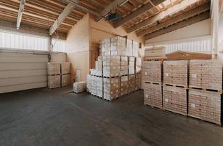 Büro zu mieten in 6170 Zirl, Zirl / Tirol: 255,60 m² Lagerhalle, 184 m² Büro und 740 m² Außenlager – A12 Abfahrt Zirl West