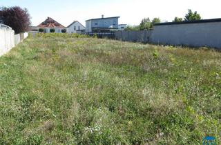 Grundstück zu kaufen in 7062 Sankt Margarethen im Burgenland, Baugrund in Sankt Margarethen / Nähe Neusiedlersee