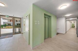 Wohnung mieten in Florianipark, 3441 Judenau, QUARTIER AM TULLNERFELD – Ihre neue Traumwohnung in Niederösterreich wartet!