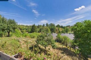 Bauernhäuser zu kaufen in 3844 Waldkirchen an der Thaya, Sanierter Bauernhof in Ruhiger Naturlage mit Rund 3.200 m² Grund, Obstgarten und Tierhaltung