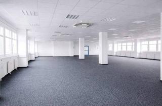 Büro zu mieten in 2351 Wiener Neudorf, Kombination Lagerhalle 100 m2 + Büro 218 m2 südlich von Wien, in Wr. Neudorf
