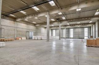 Büro zu mieten in 2351 Wiener Neudorf, Lagerhalle 2600 m2 in Wr. Neudorf - Büros im Hauptgebäude verfügbar