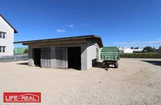 Gewerbeimmobilie mieten in 4470 Enns, Außenlagerfläche mit Garage im Ennshafen!