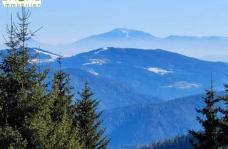 Grundstück zu kaufen in 9571 Hochrindl, GRUNDSTÜCK IN PISTENNÄHE | FREIZEITWOHNSITZ | ERSCHLOSSEN | KEIN BAUZWANG