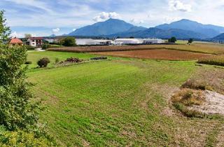 Grundstück zu kaufen in 9141 Eberndorf, *** Petzenblick *** Sonnige Baugründstücke in der Südkärntner Seenregion