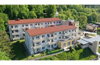 Wohnung mieten in 2754 Waldegg, SENIORENWOHNUNG: sonnige 2-Zimmer-Wohnung mit großzügigen Balkon in Waldegg - Top 08