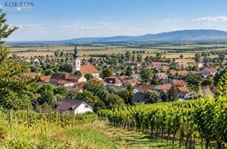 Grundstück zu kaufen in 3433 Königstetten, Aufgeschlossener ebener Baugrund im Ortszentrum in der 30er Zone