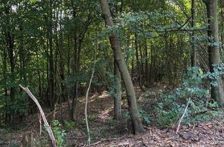 Gewerbeimmobilie kaufen in 8052 Graz, Wald am Stadtrand von Graz – 41.598 m² Natur als bleibender Wert