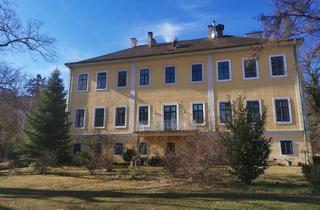 Wohnung mieten in 2540 Bad Vöslau, Wohnung beim Thermalbad Bad Vöslau PROVISIONSFREI