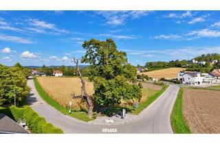 Grundstück zu kaufen in 2102 Klein-Engersdorf, "555m² Baugrund in der Gemeinde Bisamberg – neu aufgeschlossen"