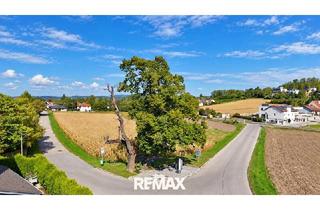 Grundstück zu kaufen in 2102 Bisamberg, "555m² Baugrund in der Gemeinde Bisamberg – neu aufgeschlossen"
