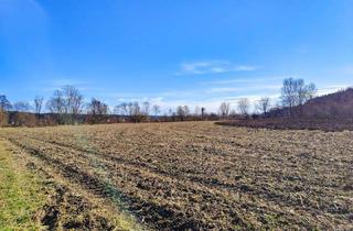 Gewerbeimmobilie kaufen in 8561 Södingberg, Ebenes Landwirtschaftliches Grundstück bei Söding. - Potential zur Vergrößerung mit + 2,1 ha.