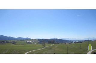 Wohnung mieten in 5202 Neumarkt am Wallersee, Schöne 2-Zimmer-Dachgeschosswohnung mit Süd-Balkon und See-Fernblick!