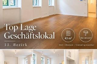 Büro zu mieten in 1130 Wien, TOP-LAGE IN HIETZING | Ihr neuer Business-Standort – 43 m², frisch renoviert & vielseitig nutzbar!