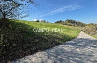 Agrarfläche kaufen in 3153 Eschenau, PROVISIONSFREI: BAUERNHAUS schöne Einzellage am Berg mit ca.10 ha Grund
