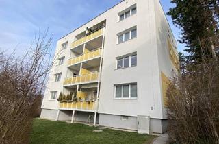 Wohnung mieten in Morgenrot, 2560 Berndorf, Morgenrot 2
