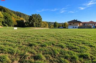 Grundstück zu kaufen in 8312 Ottendorf an der Rittschein, Bauplatz für Ihr Familienglück ? 1.095 m²