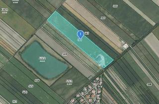 Gewerbeimmobilie kaufen in 2443 Deutsch-Brodersdorf, 4,7 ha Ackerfläche mit moderner Halle