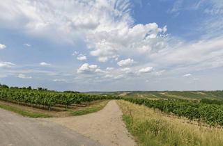 Gewerbeimmobilie kaufen in 2061 Hadres, Landwirtschaftliche Grundstücke mit insgesamt 6.003 m² in Hadres !