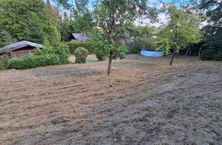 Grundstück zu kaufen in 4211 Alberndorf in der Riedmark, Grundstück in ruhiger und naturnaher Lage!