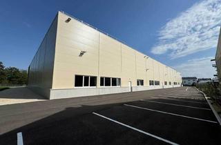 Lager mieten in Poststrasse 70, 4061 Pasching, Moderne Hallenfläche mit Büro in Pasching zu Vermieten