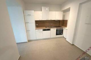 Immobilie mieten in Favoritenstraße, 1100 Wien, Sanierte 140 m² Flexible Fläche im Untergeschoß - Unbefristet Vielseitig Nutzbar