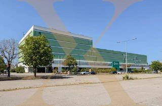 Büro zu mieten in 4600 Wels, Großflächige Gewerbeliegenschaft mit Verkaufs-, Lager- und Büroflächen in Wels zu vermieten!