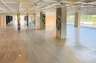 Büro zu mieten in 4600 Wels, Vielseitige Gewerbefläche in Wels zu vermieten! Erweiterbar!