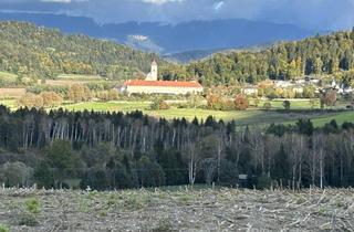 Grundstück zu kaufen in 9313 Dellach, Ca. 3,1 Ha Acker, Wiese und Wald in St. Georgen am Längsee zu Verkaufen