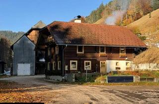 Bauernhäuser zu kaufen in Scheibsgraben 41, 8661 Wartberg im Mürztal, Wunderschöner Bauernhof mit Wald und Wiese!
