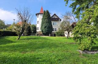Villen zu kaufen in 4522 Sierning, Beeindruckende Jahrhundertwendevilla – vielfach nutzbar