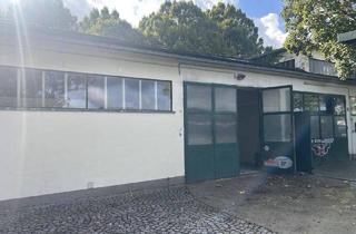 Büro zu mieten in 4407 Dietachdorf, Moderne Halle mit B Widmung, AUTOWERKSTATT möglich und gewünscht