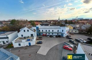 Immobilie kaufen in 2514 Traiskirchen, Halle, Werkstatt, Büro & Lager in einem – Top-Lage nahe der Autobahn in Traiskirchen