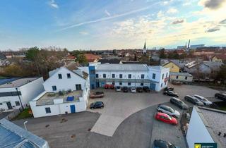 Gewerbeimmobilie kaufen in 2514 Traiskirchen, Halle, Werkstatt, Büro & Lager in einem – Top-Lage nahe der Autobahn in Traiskirchen