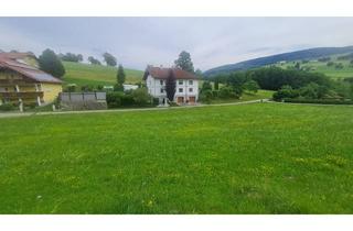 Grundstück zu kaufen in 3353 Seitenstetten, Ein ruhiger Fleck am Land!