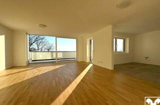 Wohnung kaufen in 4407 Dietach, Hochwertige Eigentumswohnung mit Traumhaftem Weitblick