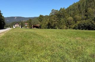 Grundstück zu kaufen in 3195 Kernhof, Ein Paradies für Pferde- & Naturliebhaber - Über 1,2 Hektar Grünland in Kernhof