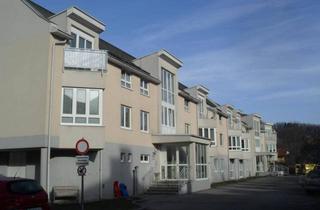 Wohnung mieten in Rauchenbergergasse, 3160 Traisen, 3-Zimmer-Wohnung mit Terrasse, Top 113