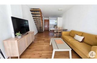 Maisonette kaufen in Arbeitergasse, 3500 Krems an der Donau, Vermietete Maisonette-Wohnung mit zwei Loggien