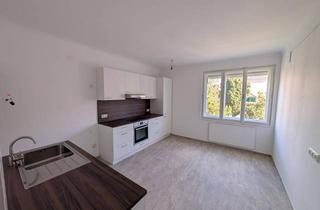 Wohnung mieten in Albertplatz, 1080 Wien, Generalsanierte 75-m²-3-Zimmer-Wohnung mit großzügiger Wohnküche und Grünblick am Albertplatz