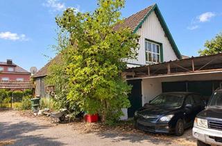 Einfamilienhaus kaufen in 2732 Willendorf, Landhaus mit Grundstück und vielseitigem Entwicklungspotenzial in Willendorf