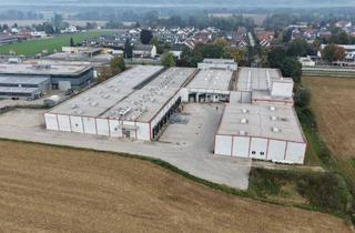 Gewerbeimmobilie kaufen in Gastro-Profi-Straße, 4072 Alkoven, Verkauf einer effektiven Lagerimmobilie mit Tiefkühllager und Kühllager in Alkoven direkt an der B129
