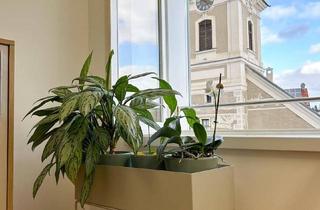 Immobilie mieten in Hauptplatz 16, 3910 Oberstrahlbach, Modernes Büro in der Zwettler Innenstadt