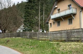 Haus kaufen in 8662 Mitterdorf im Mürztal, Privat ohne Makler, Zweifamilienhaus im Landhausstil Top Saniert direkt am Waldrand, im Nahbereich des Wintersportzentrums Hohe Veitsch