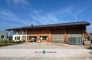 Büro zu mieten in 4894 Gewerbegebiet-Salzweg, Modernes Betriebsobjekt mit Hallen-, Büro-, und Wohnflächen