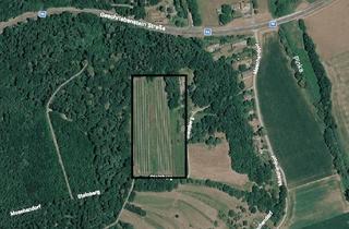 Grundstück zu kaufen in Steinberg 182, 7540 Moschendorf, Weingarten in Moschendorf (Südburgenland) zu verkaufen – 2.027 m²