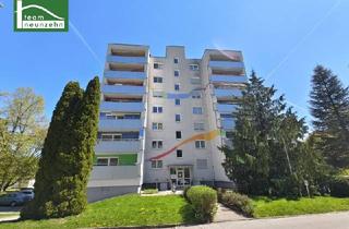 Genossenschaftswohnung in Anzengruberstraße, 3150 Wilhelmsburg, Geförderte Genossenschaftswohnung in Grünlage in Wilhelmsburg. - WOHNTRAUM