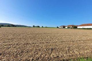 Grundstück zu kaufen in 4490 Sankt Florian, Interessantes Grundstück für Bauträger